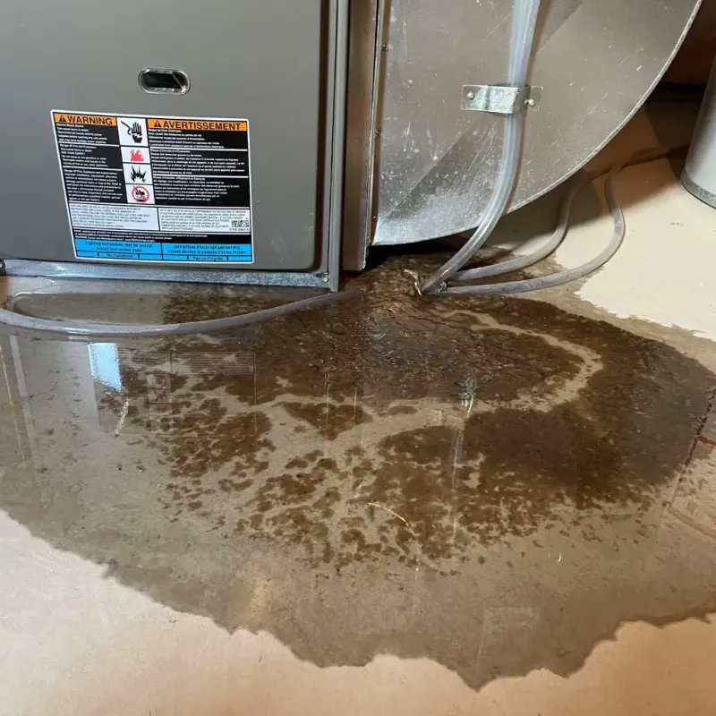 Appliance Leak Cleanup in Schofield Barracks, HI
